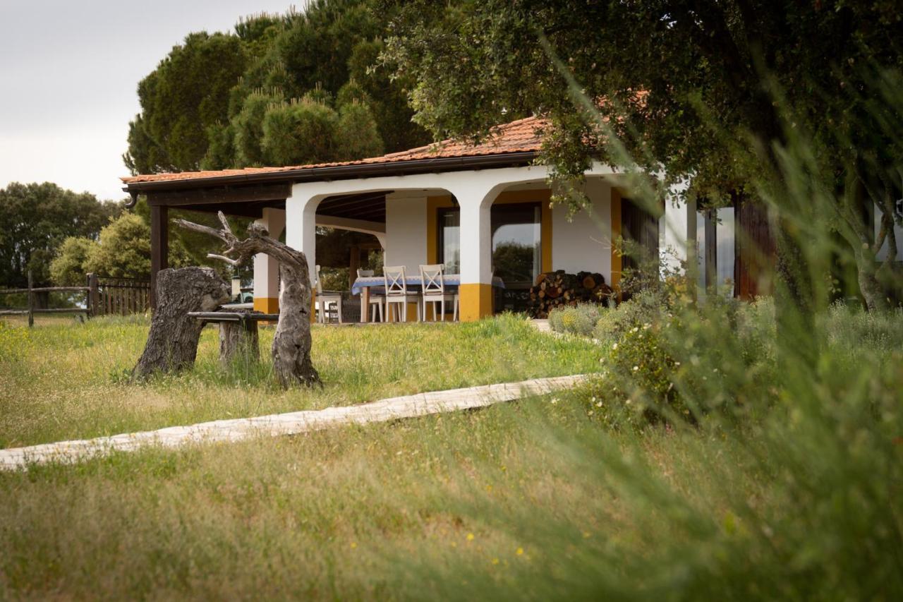 Espeja Eco-Lodge En La Reserva Privada Campanarios De Azaba - Proyecto De Conservacion المظهر الخارجي الصورة
