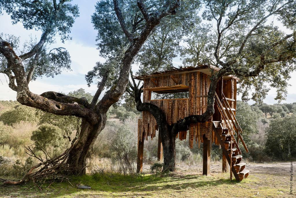 Espeja Eco-Lodge En La Reserva Privada Campanarios De Azaba - Proyecto De Conservacion المظهر الخارجي الصورة