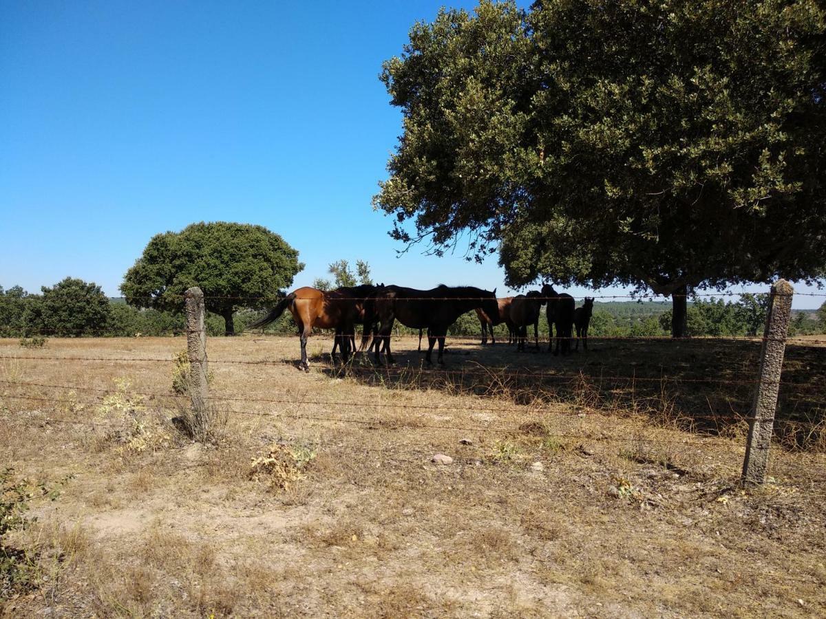 Espeja Eco-Lodge En La Reserva Privada Campanarios De Azaba - Proyecto De Conservacion المظهر الخارجي الصورة