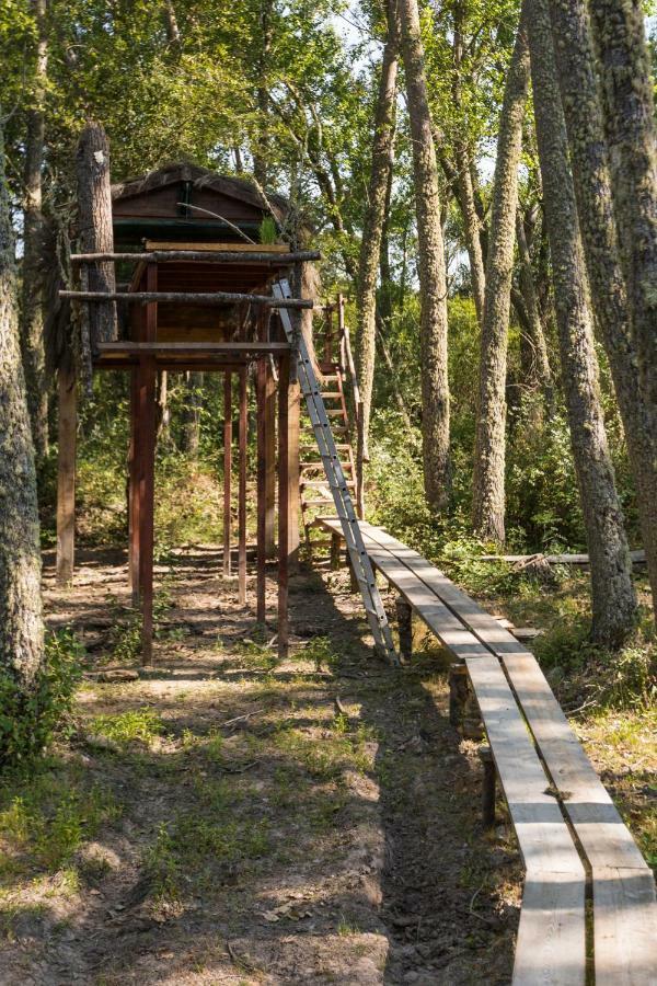Espeja Eco-Lodge En La Reserva Privada Campanarios De Azaba - Proyecto De Conservacion المظهر الخارجي الصورة