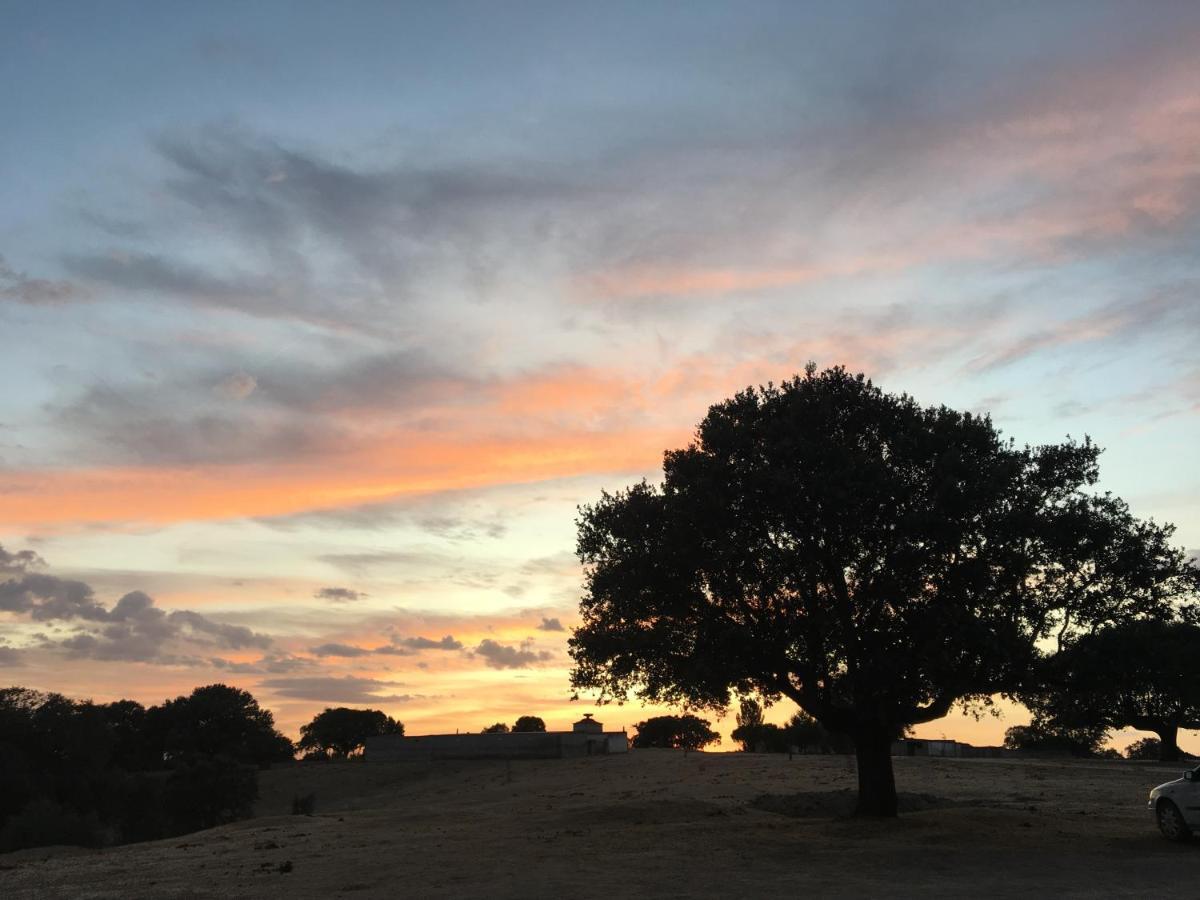 Espeja Eco-Lodge En La Reserva Privada Campanarios De Azaba - Proyecto De Conservacion المظهر الخارجي الصورة