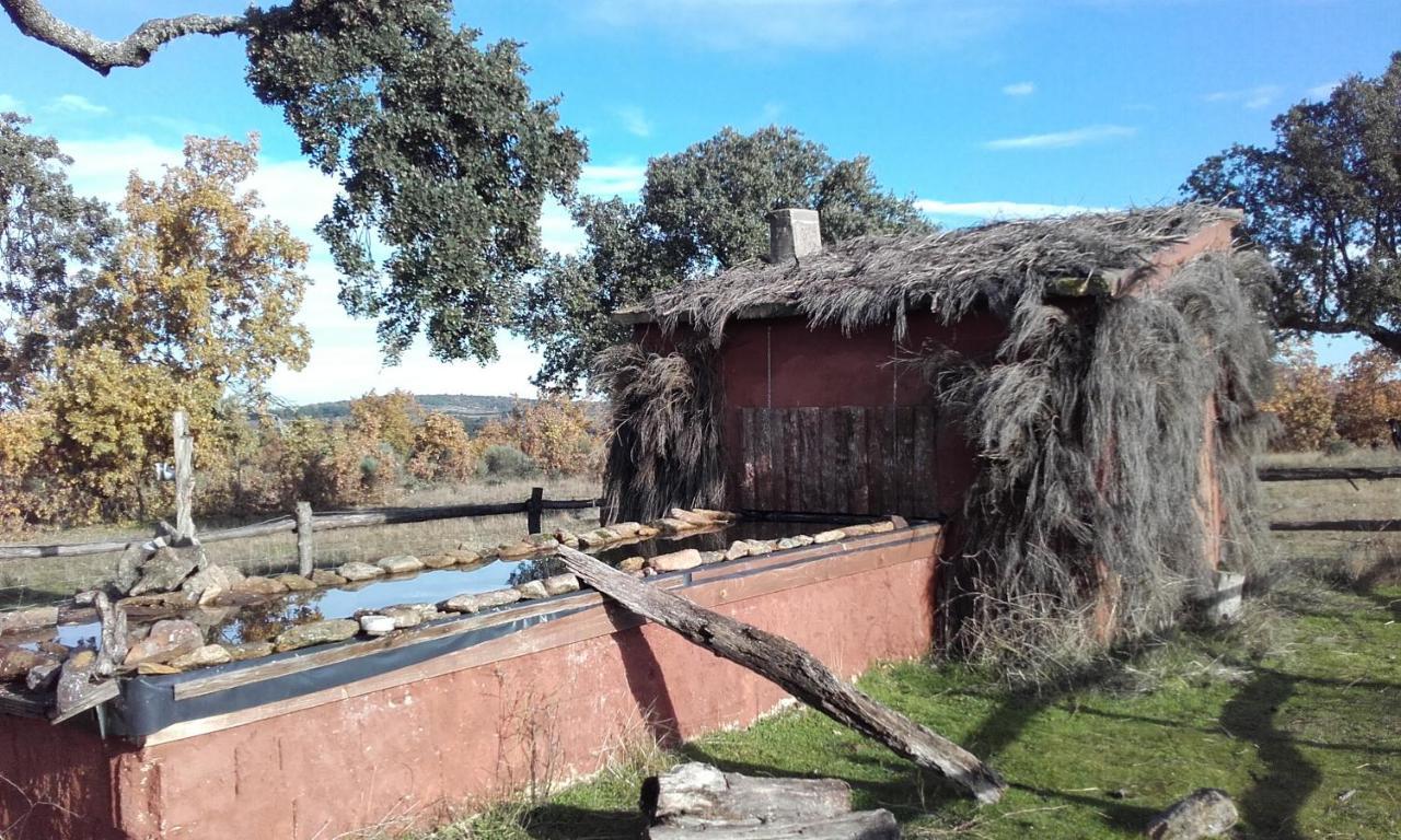 Espeja Eco-Lodge En La Reserva Privada Campanarios De Azaba - Proyecto De Conservacion المظهر الخارجي الصورة
